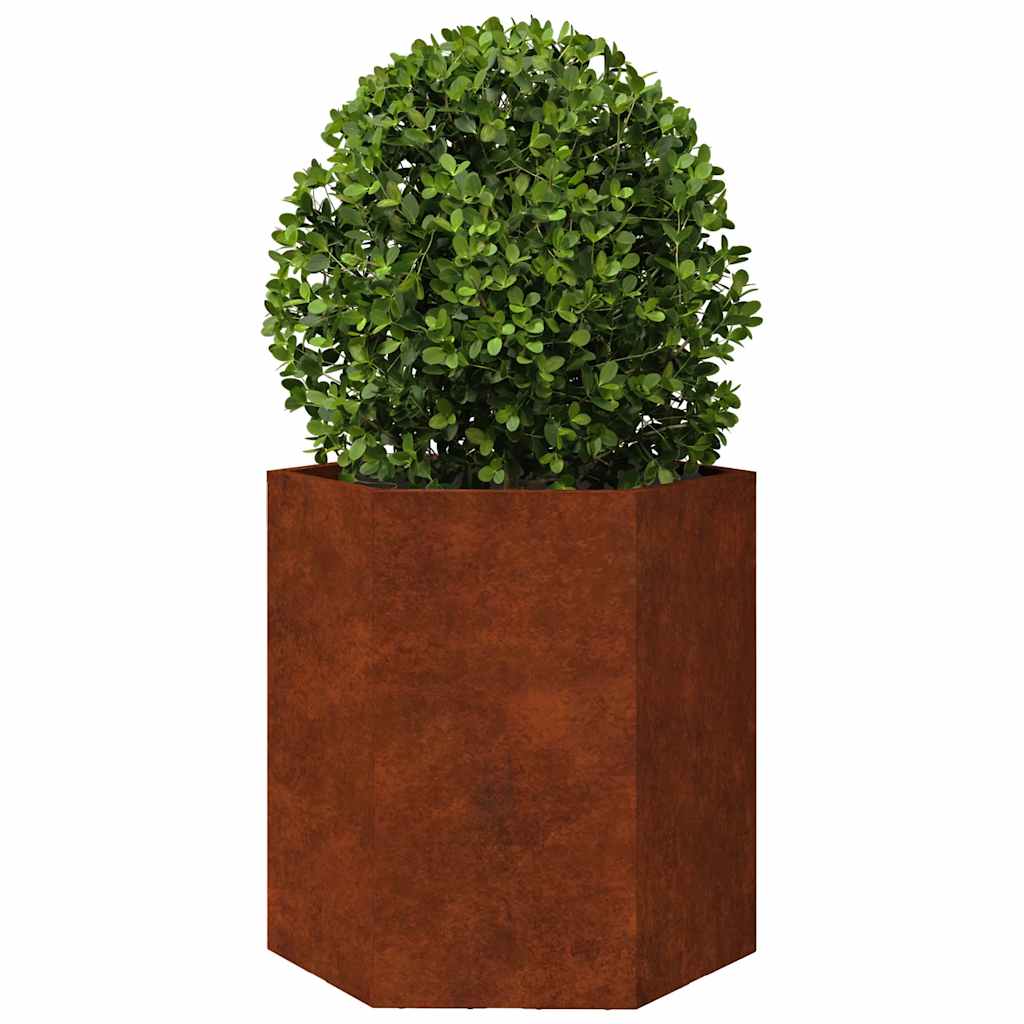 Garden Planters 2 pcs Hexagon 46x40x45 cm Weathering Steel