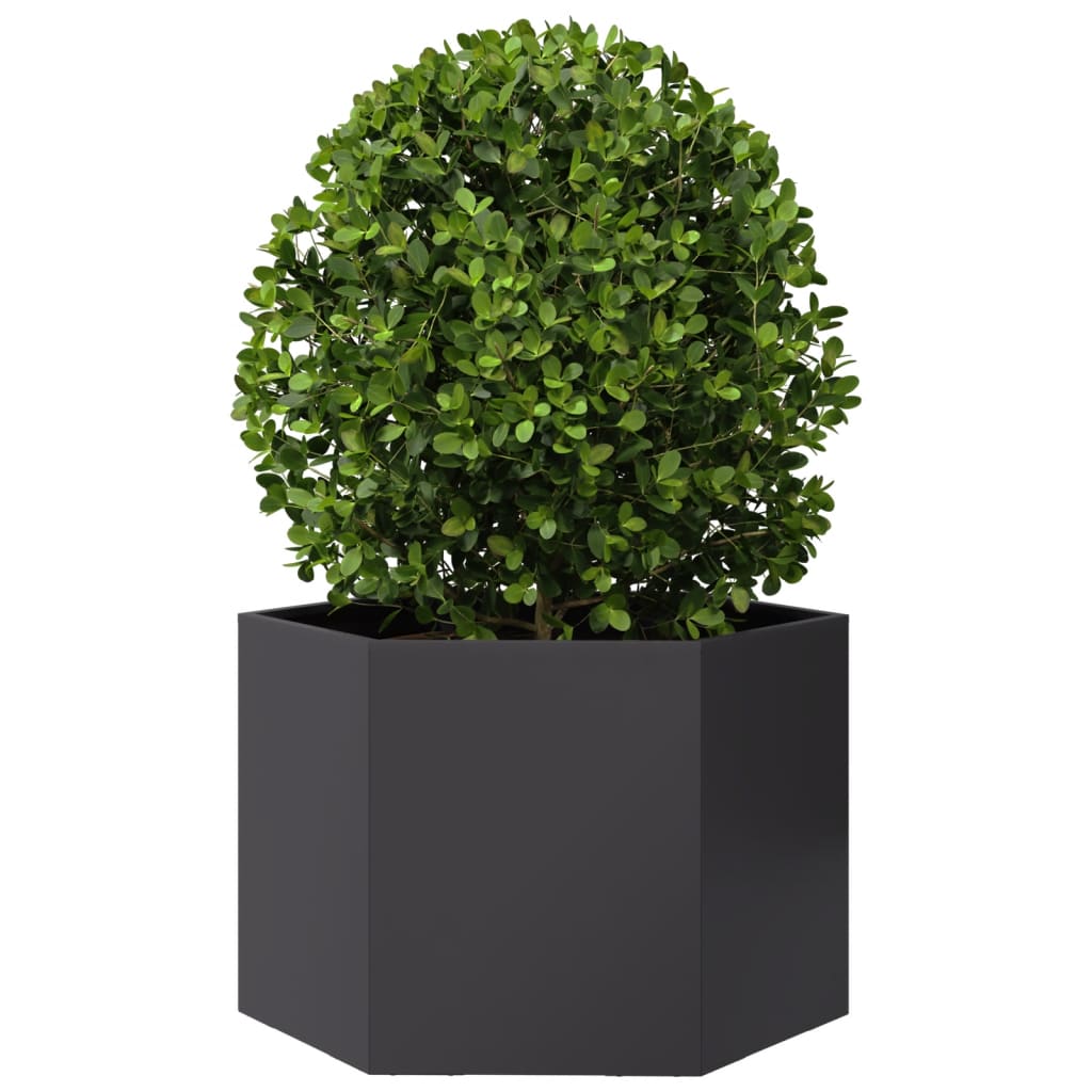 vidaXL Garden Planter Black Hexagon 69x60x45 cm Steel