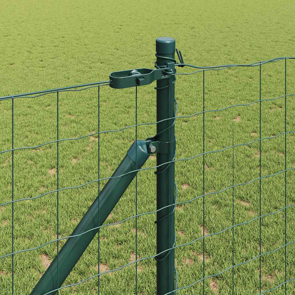 Fence with Post Green 1 x 25 m Steel