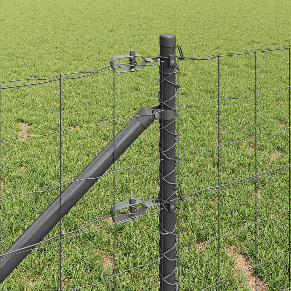 Welded Wire Fence with Spikes 10 x 0.8 m (W x H)