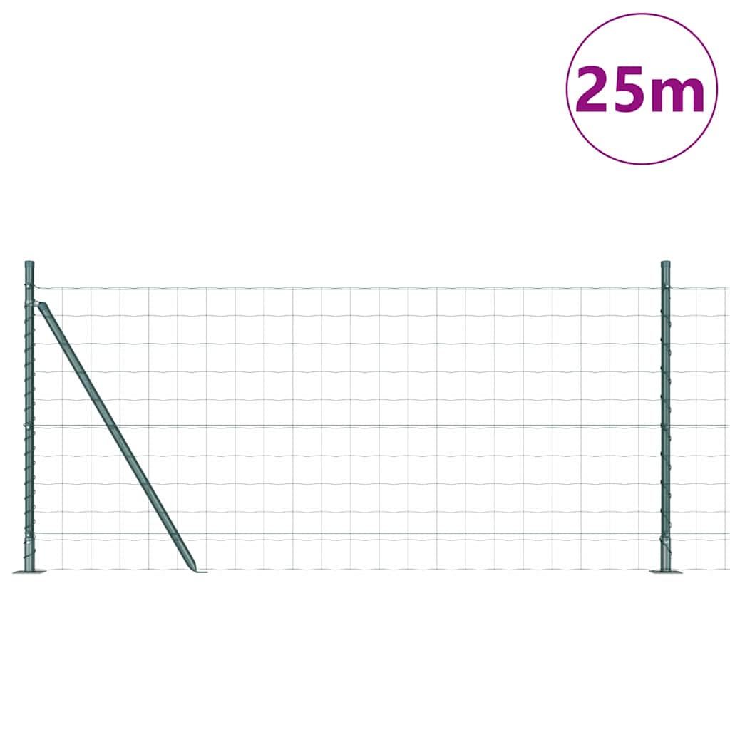 Fence with Post Green 0.8 x 25 m Steel