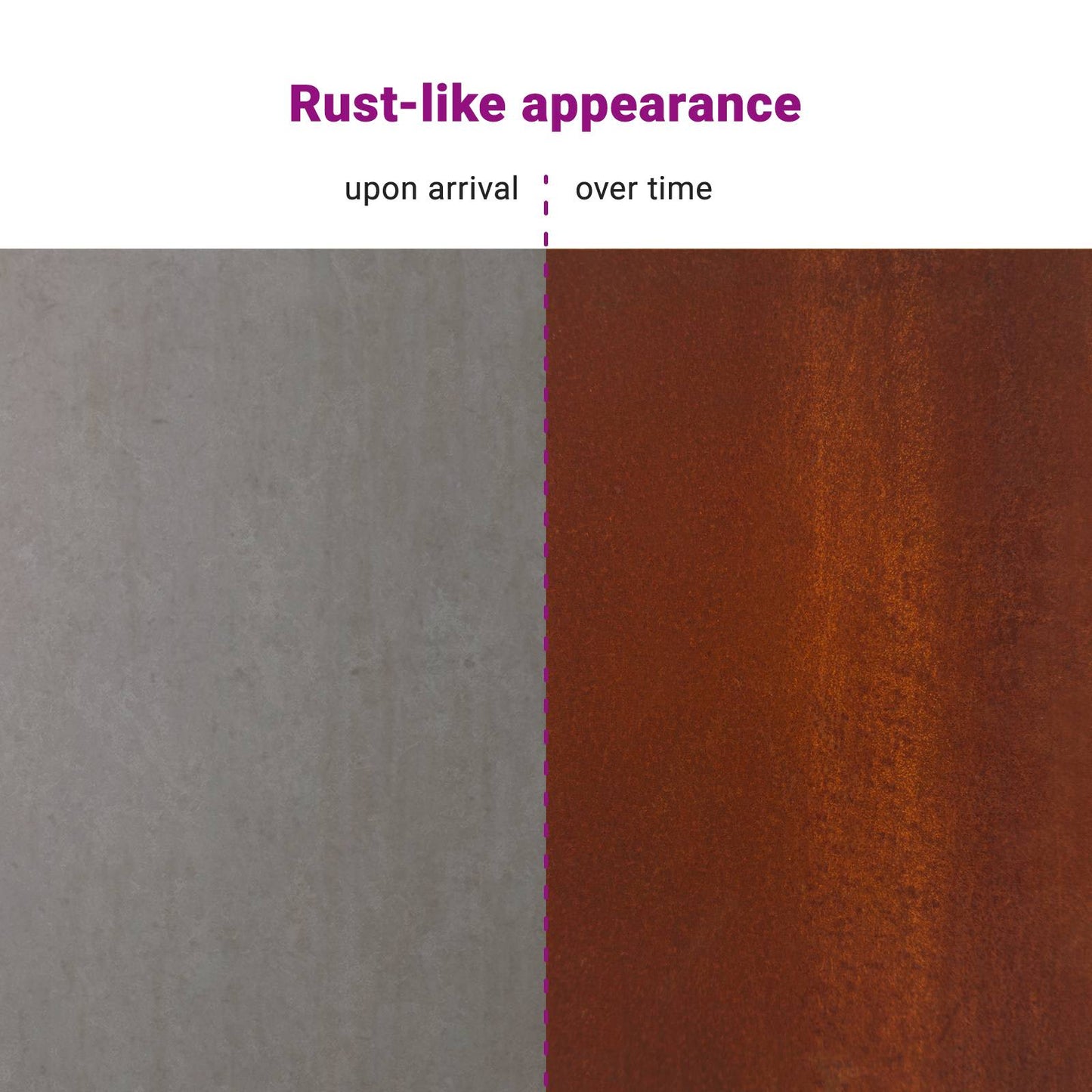 Privacy Screen 100 x 50 x 180 cm Weathering Steel Rusty