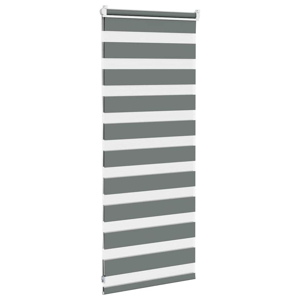 vidaXL Zebra Blind Dark Grey 60x100 cm Fabric Width 55.9 cm Polyester