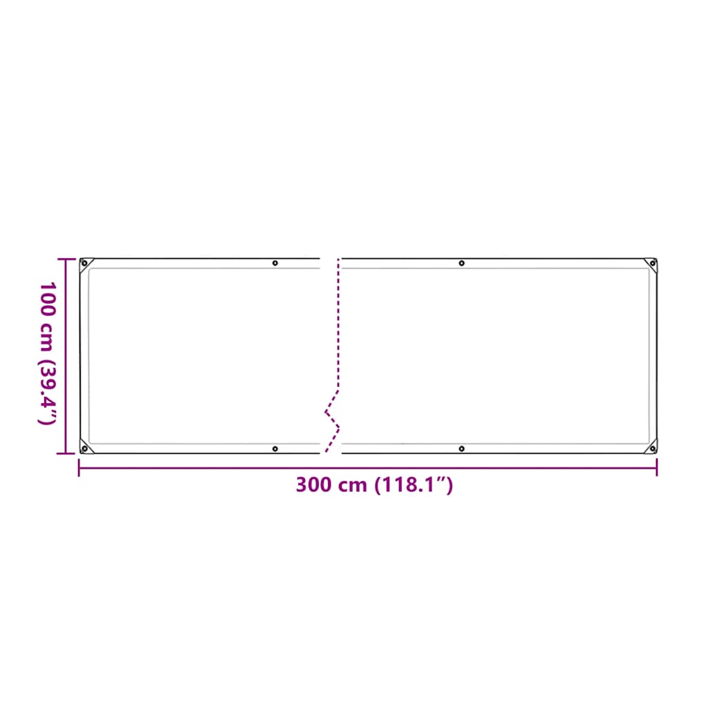 vidaXL Clear Tarpaulin with Eyelets 1x3 m Polyethylene