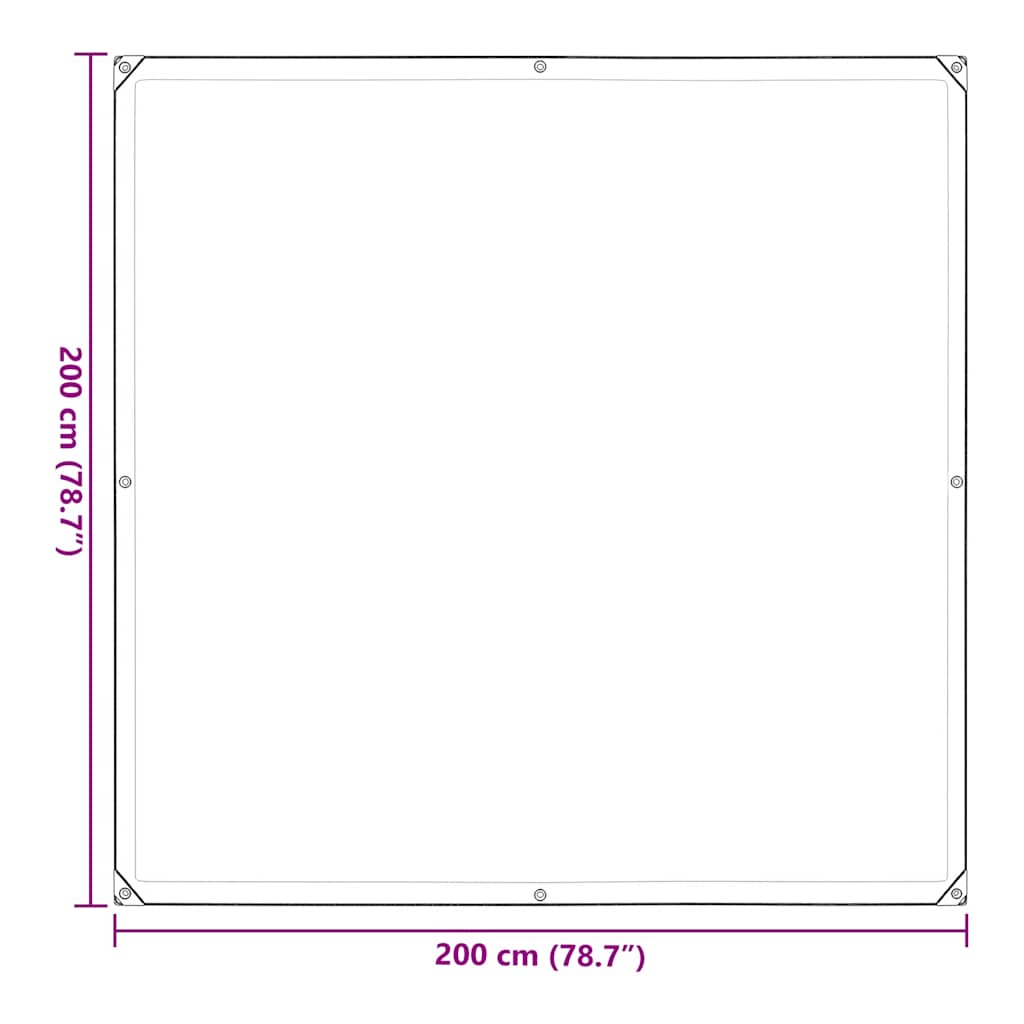 vidaXL Clear Tarpaulin with Eyelets 2x2 m Polyethylene