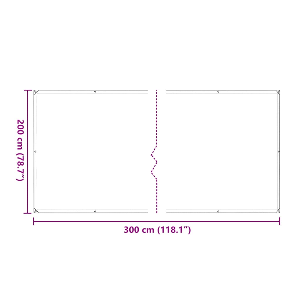 vidaXL Clear Tarpaulin with Eyelets 2x3 m Polyethylene