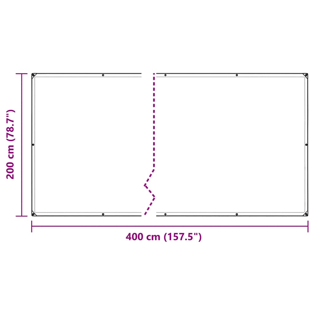 vidaXL Clear Tarpaulin with Eyelets 2x4 m Polyethylene