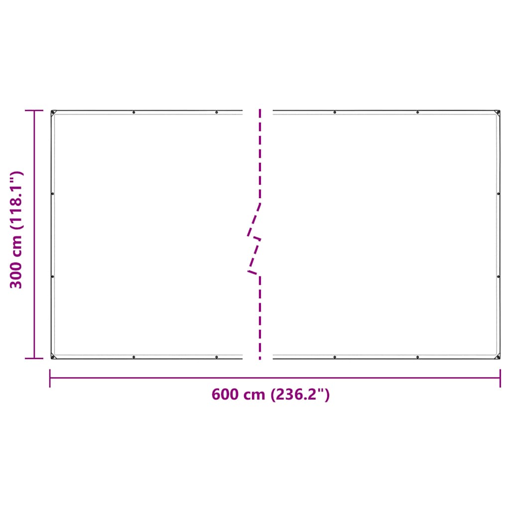 vidaXL Clear Tarpaulin with Eyelets 3x6 m Polyethylene