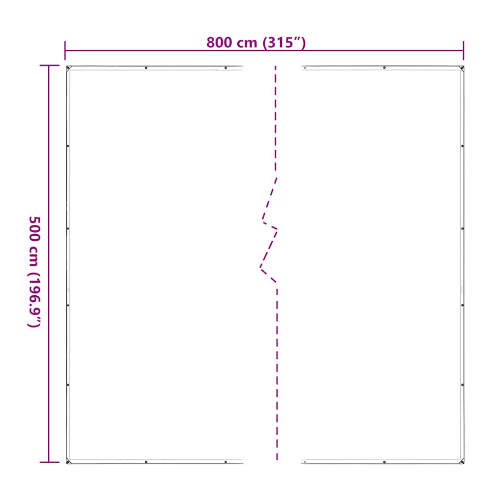 vidaXL Clear Tarpaulin with Eyelets 5x8 m Polyethylene