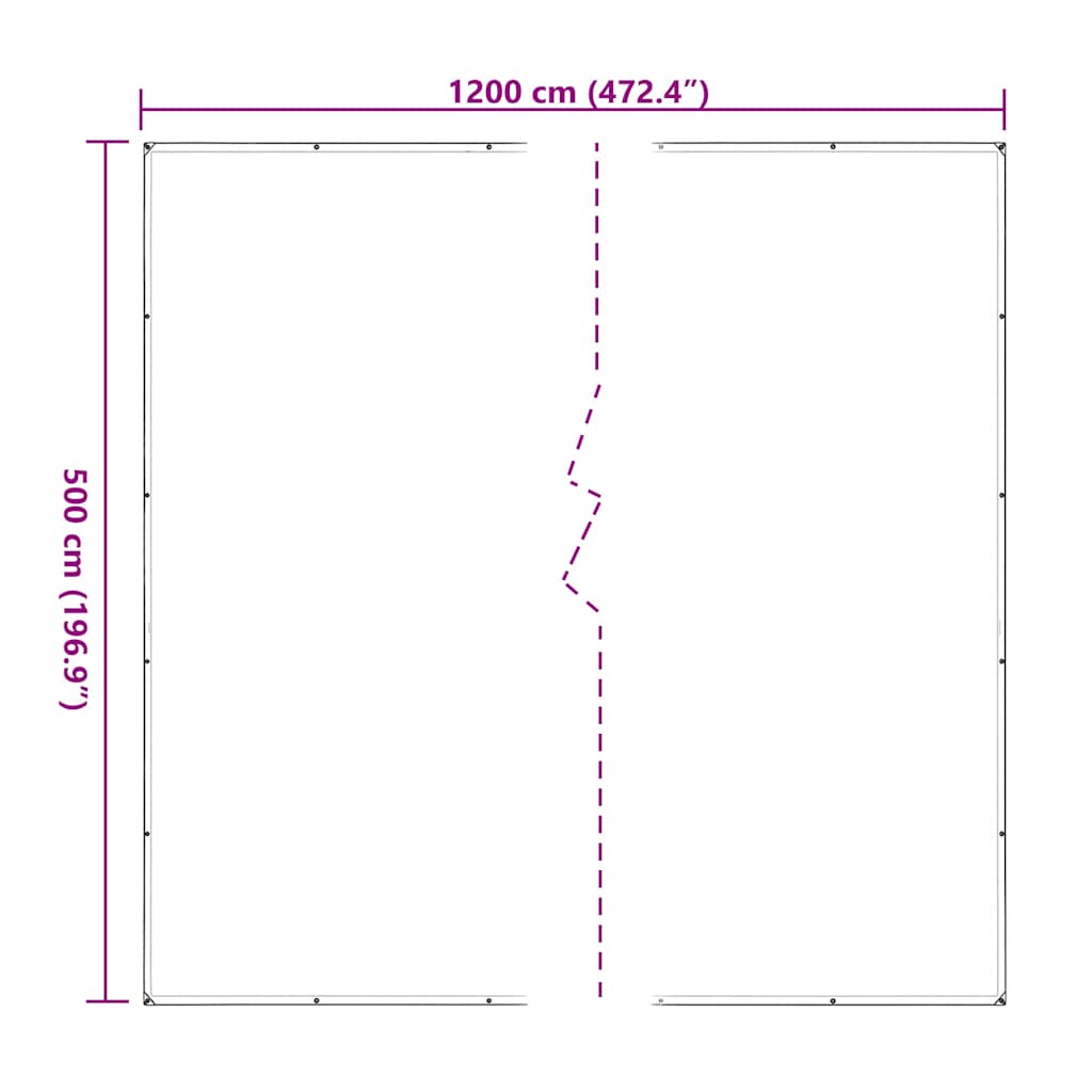 vidaXL Clear Tarpaulin with Eyelets 5x12 m Polyethylene