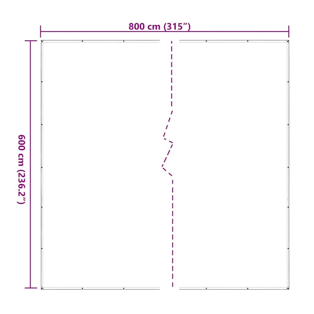 vidaXL Clear Tarpaulin with Eyelets 6x8 m Polyethylene