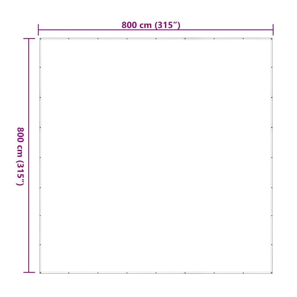 vidaXL Clear Tarpaulin with Eyelets 8x8 m Polyethylene