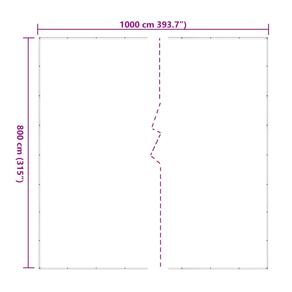 vidaXL Clear Tarpaulin with Eyelets 8x10 m Polyethylene