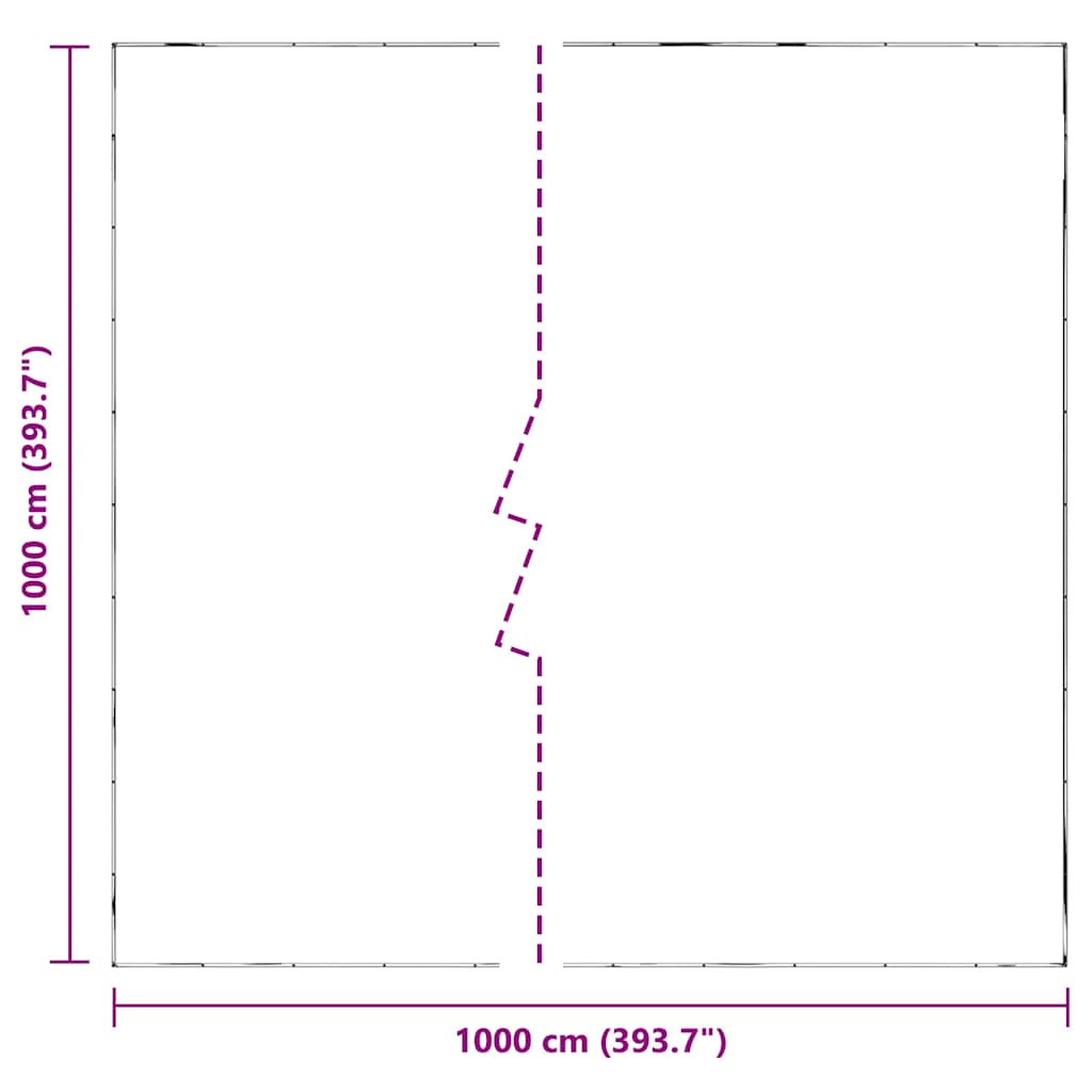 vidaXL Clear Tarpaulin with Eyelets 10x10 m Polyethylene