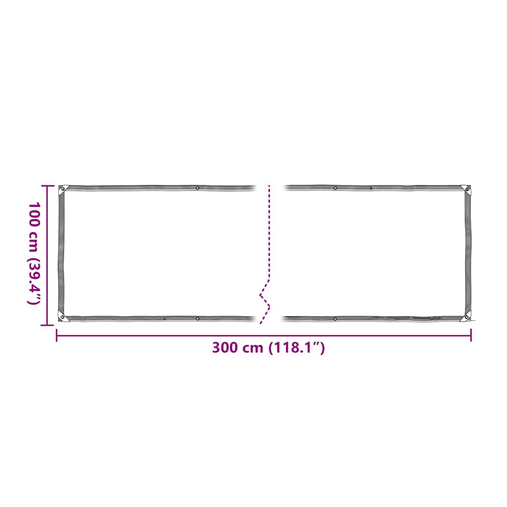 vidaXL Clear Tarpaulin with Eyelets 1x3 m Polyethylene