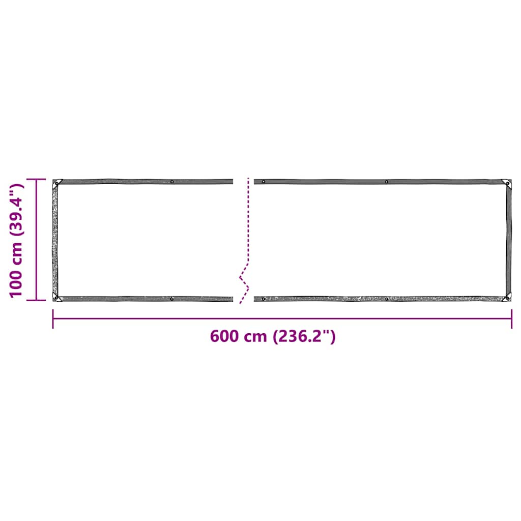 vidaXL Clear Tarpaulin with Eyelets 1x6 m Polyethylene