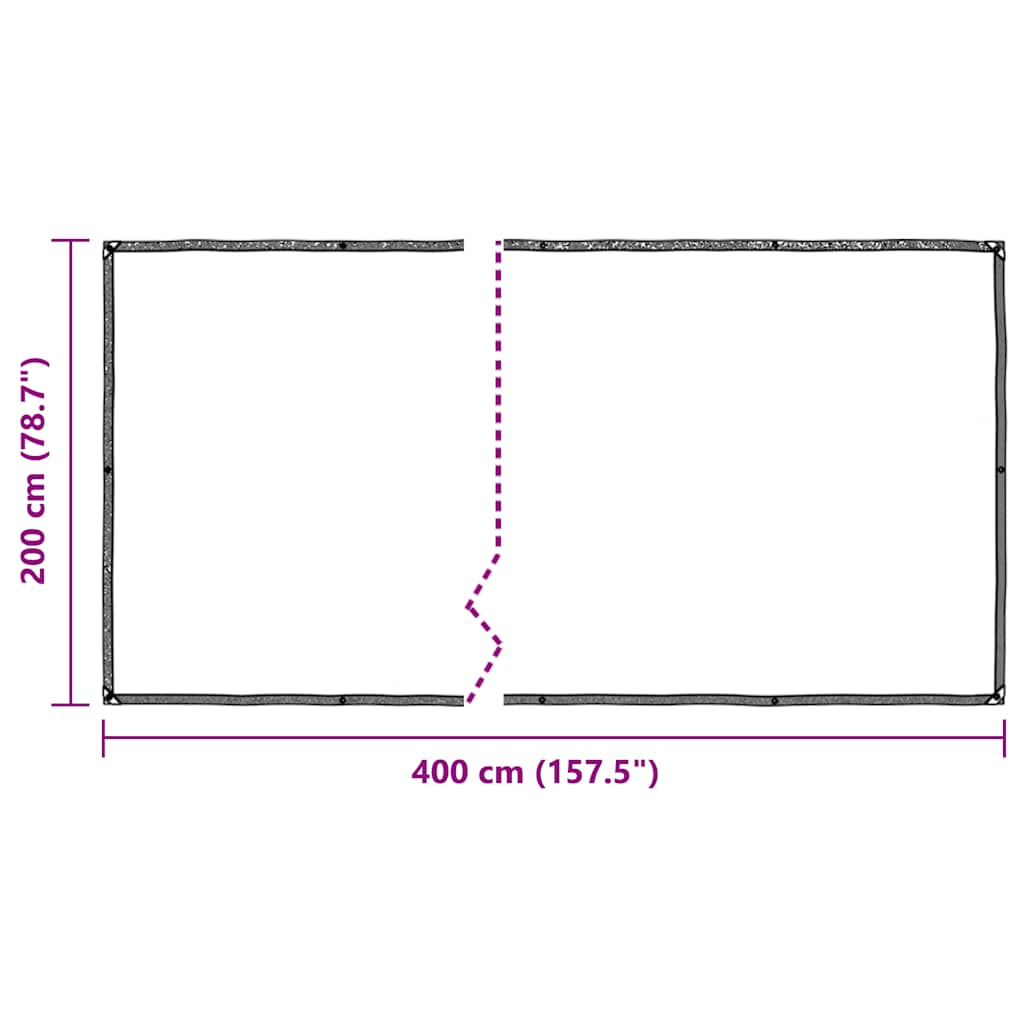 vidaXL Clear Tarpaulin with Eyelets 2x4 m Polyethylene