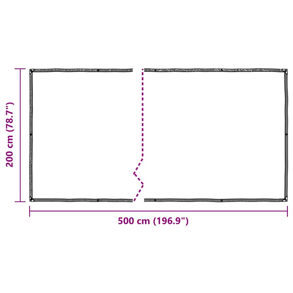 vidaXL Clear Tarpaulin with Eyelets 2x5 m Polyethylene