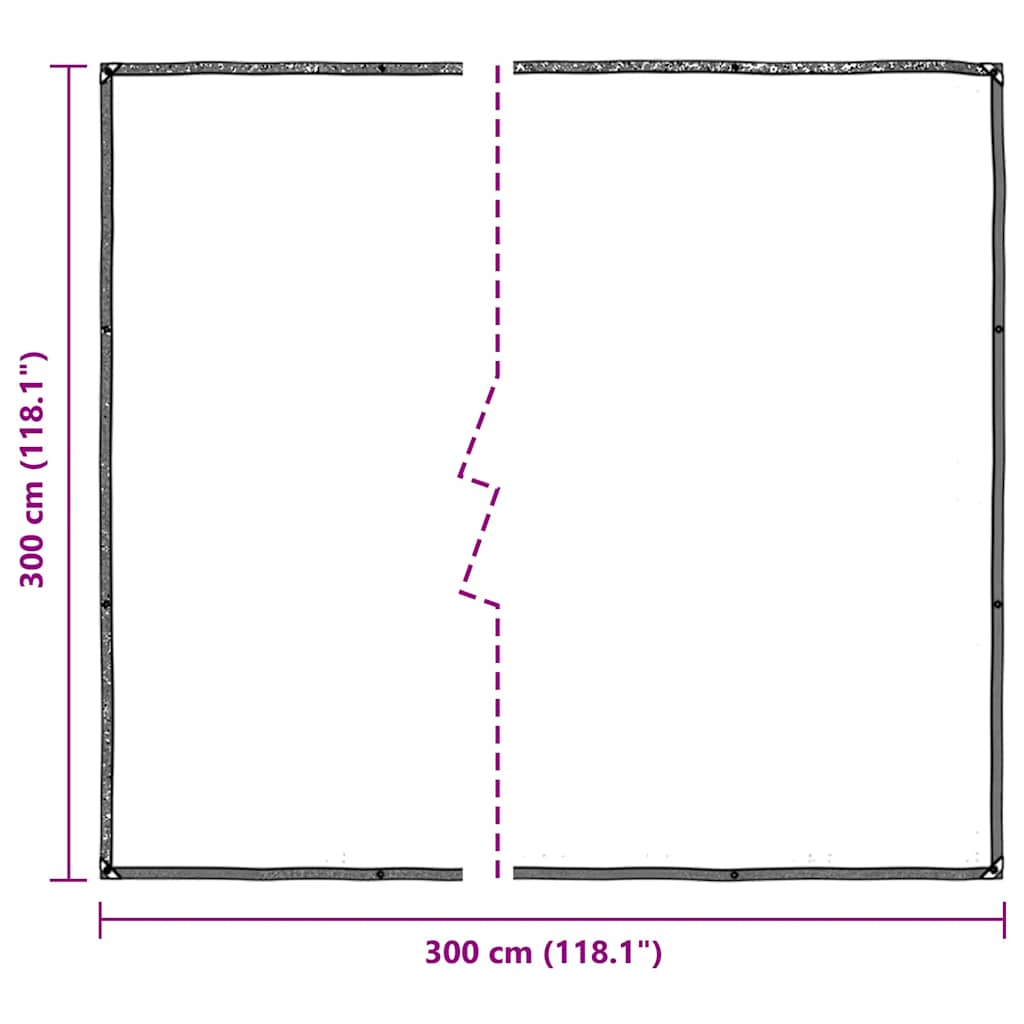 vidaXL Clear Tarpaulin with Eyelets 3x3 m Polyethylene