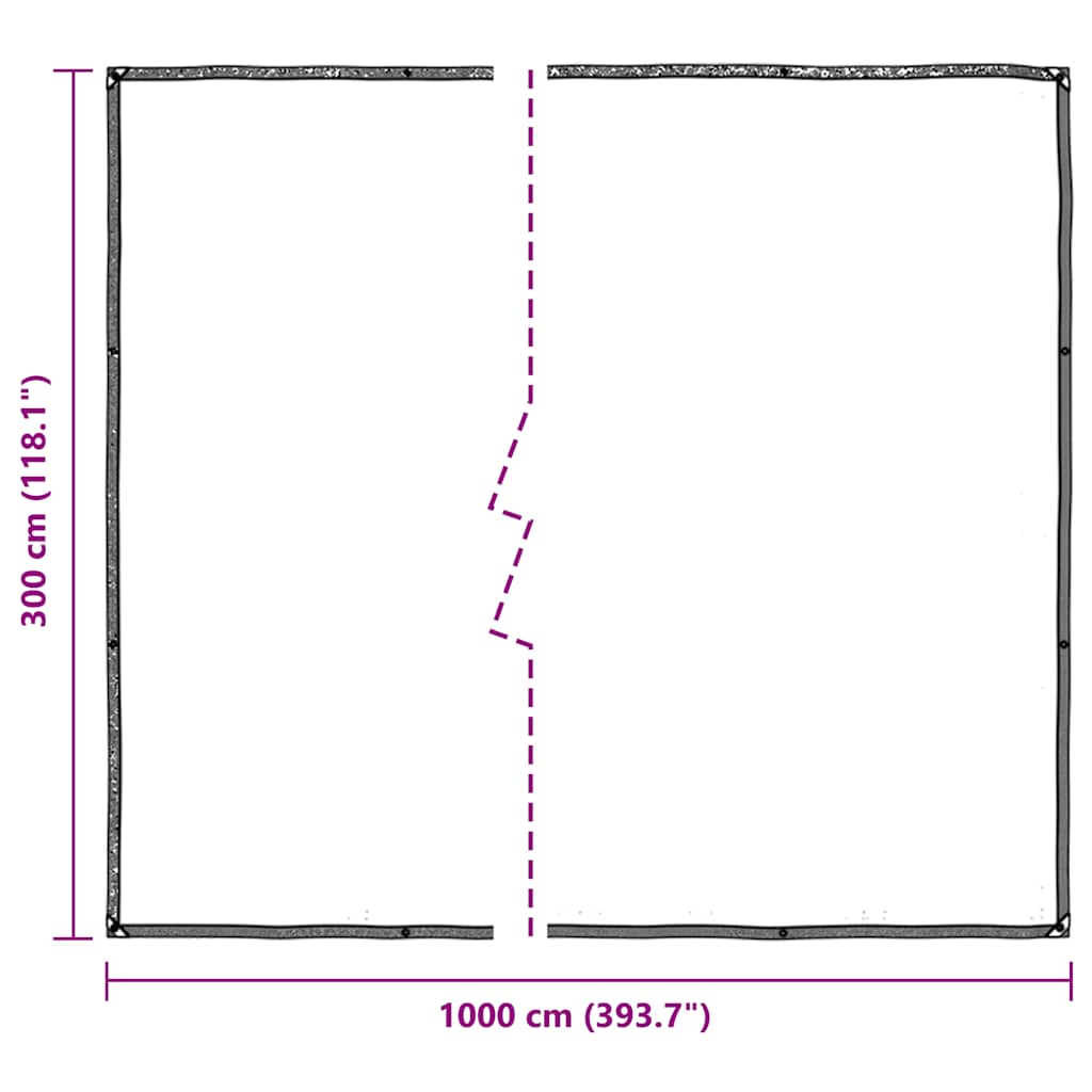 vidaXL Clear Tarpaulin with Eyelets 3x10 m Polyethylene