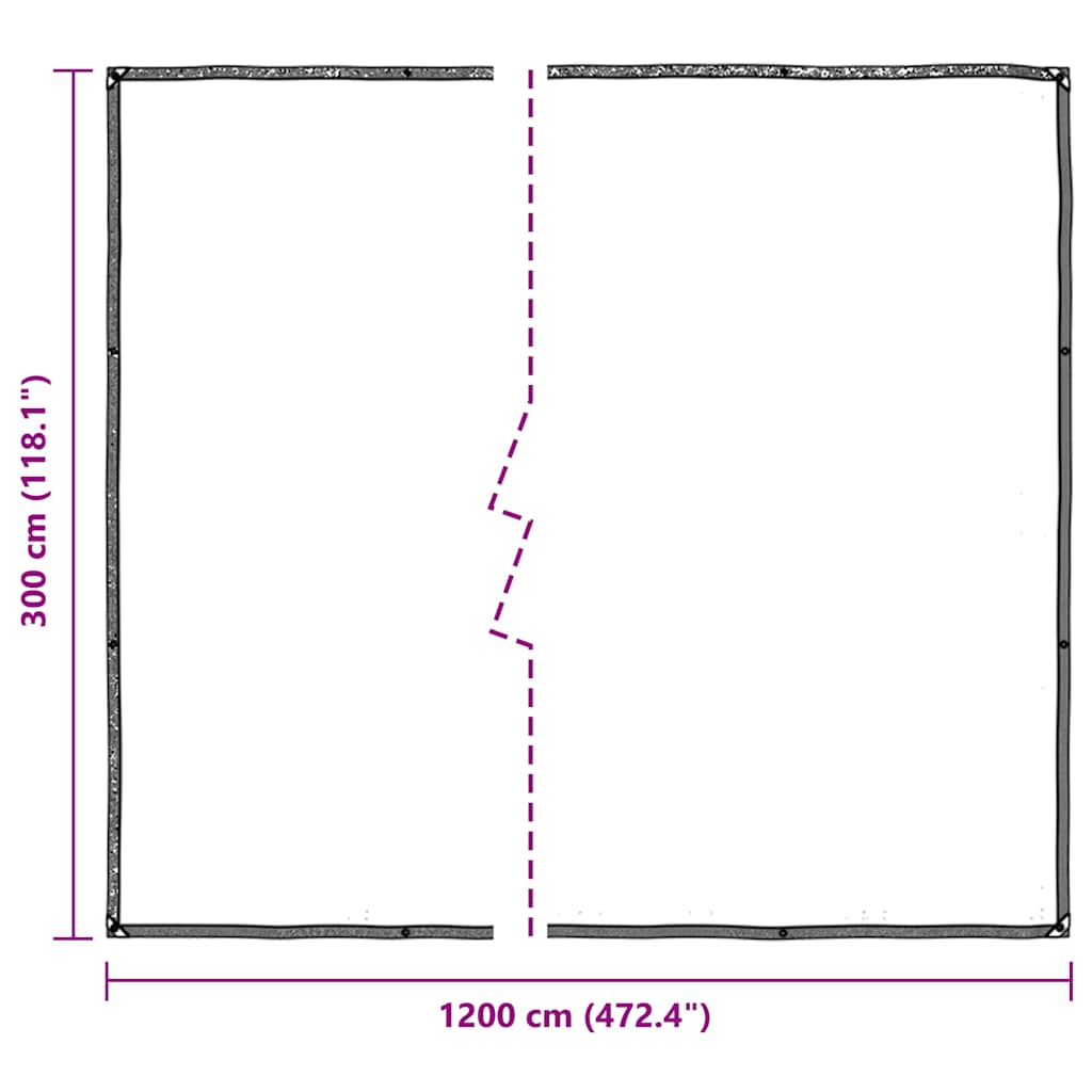 vidaXL Clear Tarpaulin with Eyelets 3x12 m Polyethylene