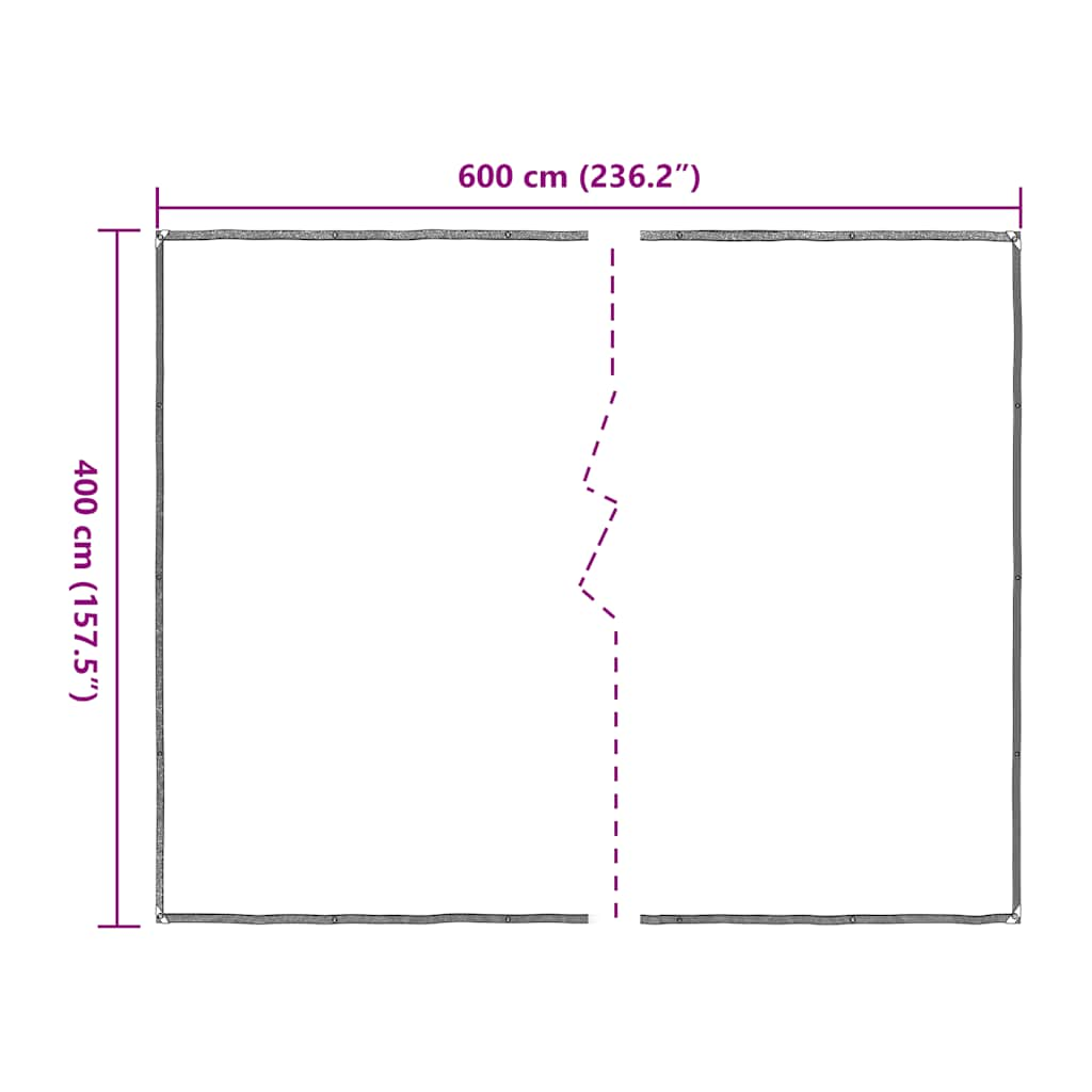 vidaXL Clear Tarpaulin with Eyelets 4x6 m Polyethylene