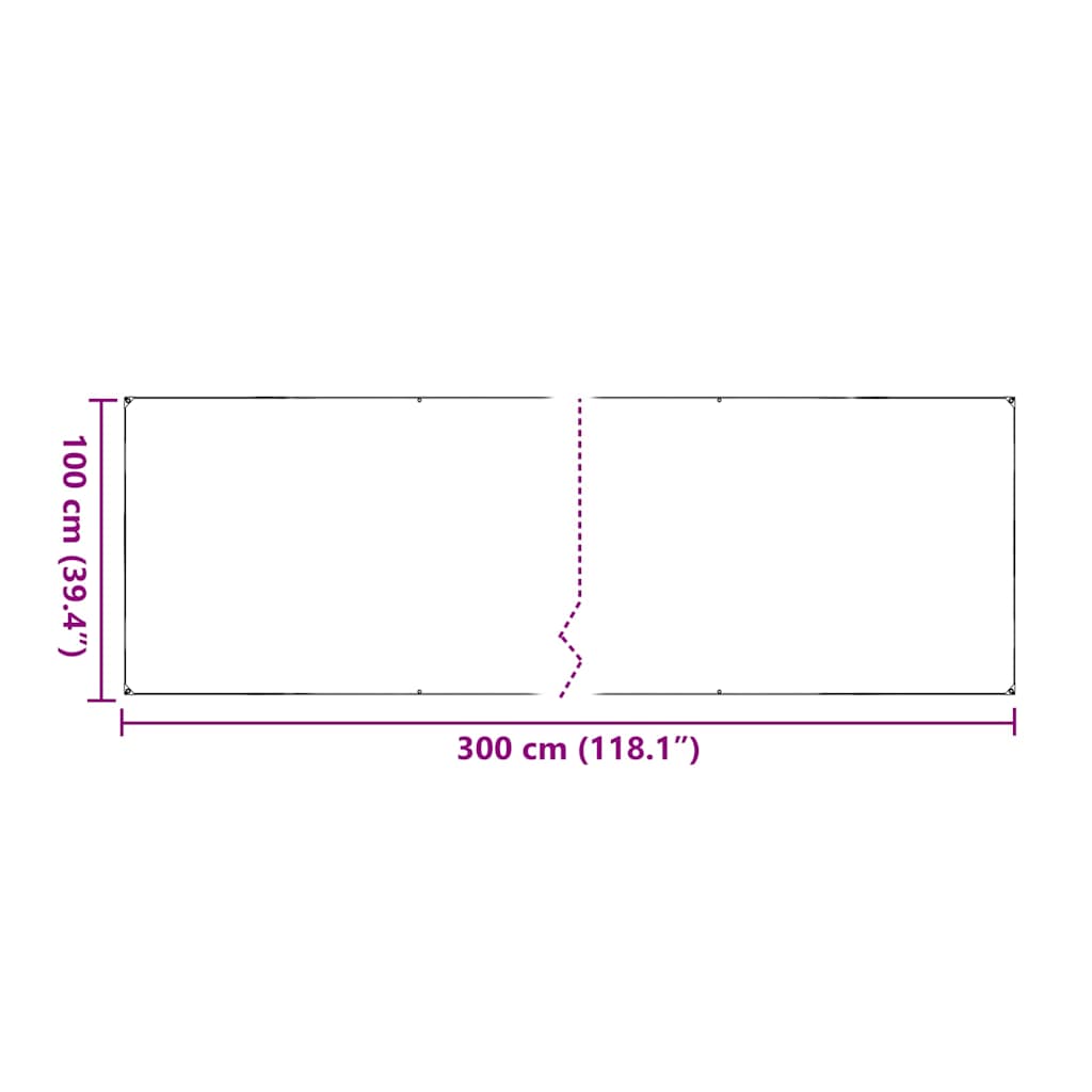 vidaXL Clear Tarpaulin with Eyelets 1x3 m PVC