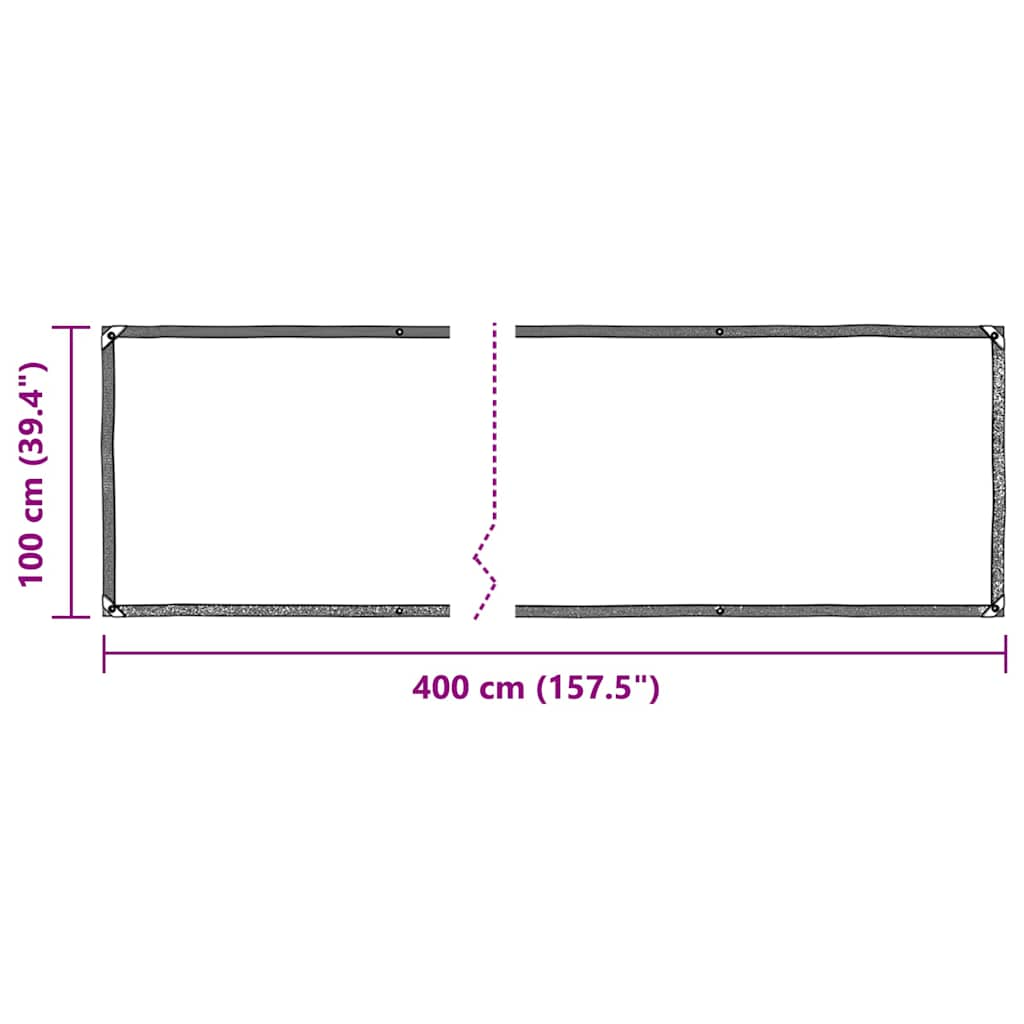 vidaXL Clear Tarpaulin with Eyelets 1x4 m PVC