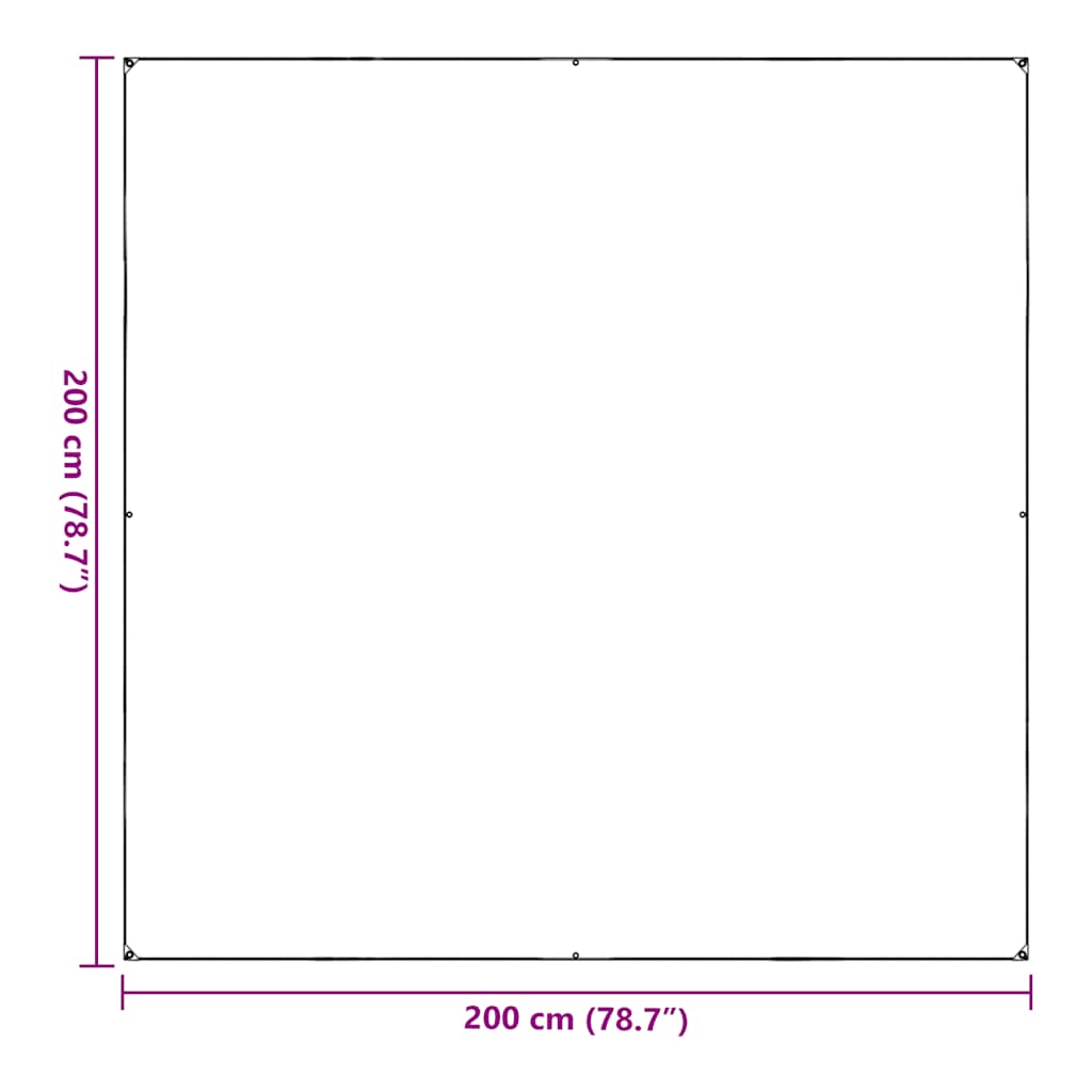 vidaXL Clear Tarpaulin with Eyelets 2x2 m PVC