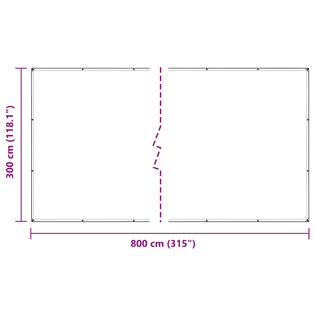 vidaXL Clear Tarpaulin with Eyelets 3x8 m PVC