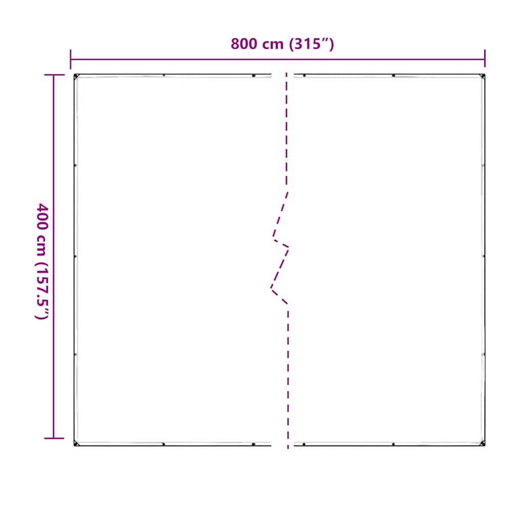 vidaXL Clear Tarpaulin with Eyelets 4x8 m PVC