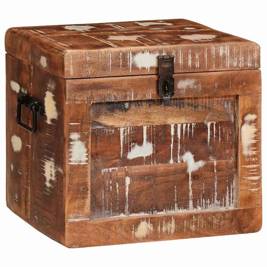 Storage Box with Storage with Door Brown Solid Mango Wood
