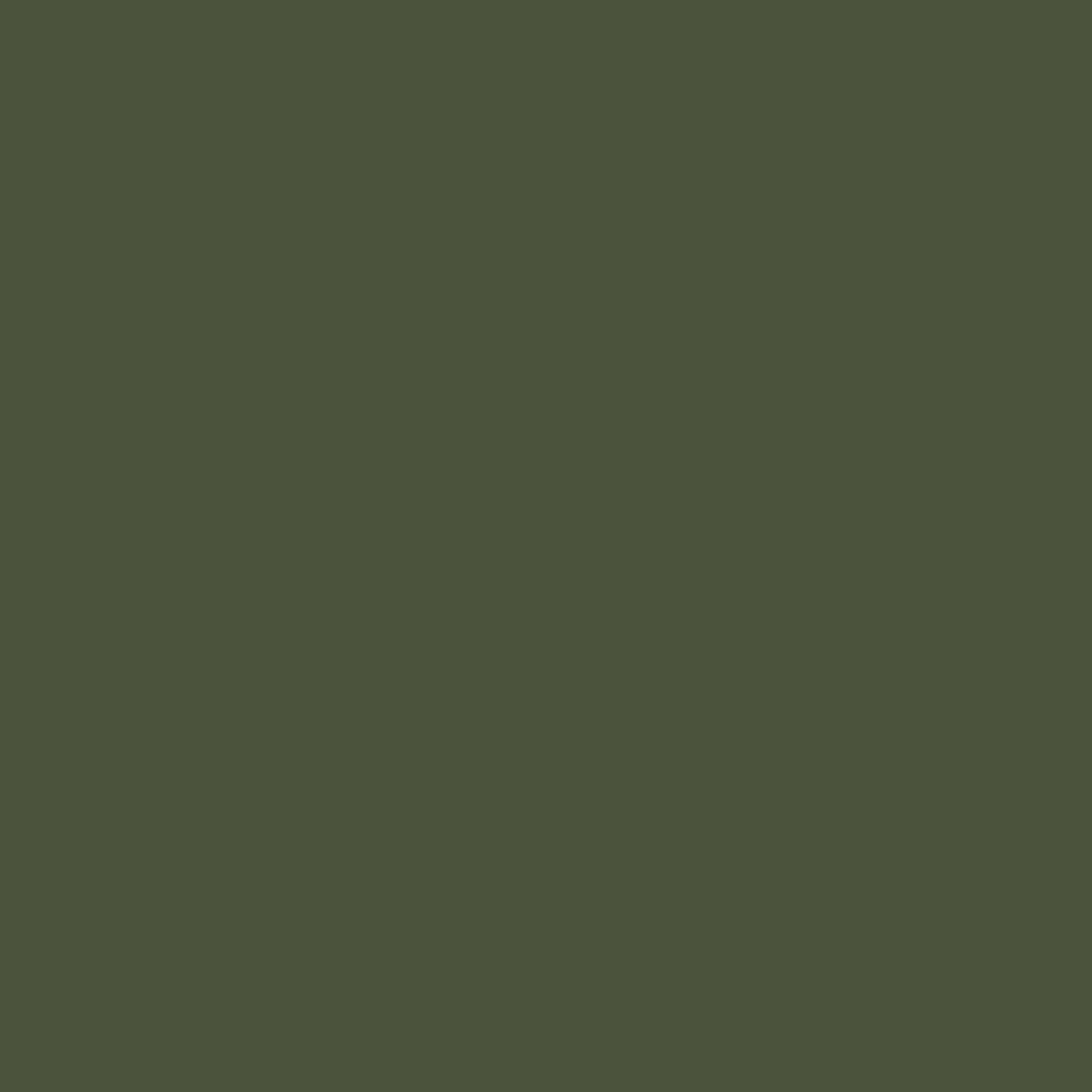 Lawn Edging 20 pcs 25 x 103 cm Steel Olive Green