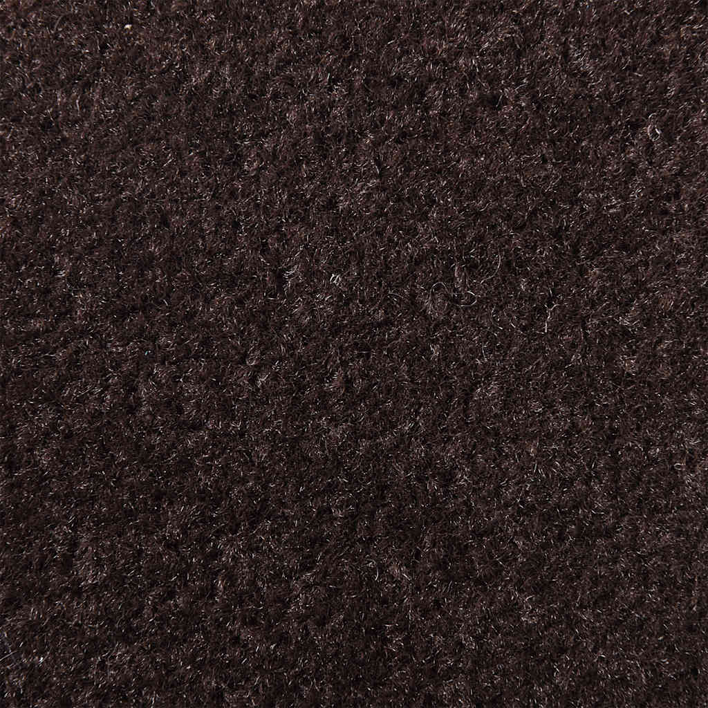 Doormat Brown 60x150 cm