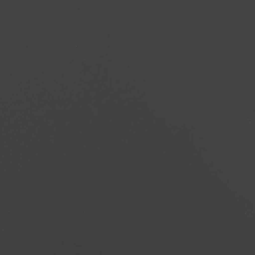 vidaXL Firewood Rack Black 34x25x70 cm Cold-rolled steel