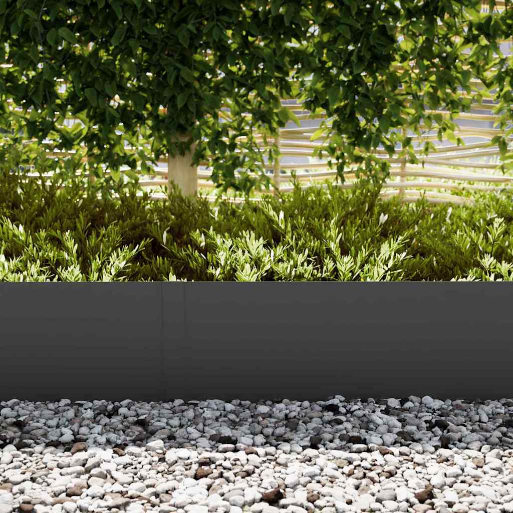 Lawn Edging 20 pcs Black 100 x 0.05 x 30 cm Cold Rolled Steel