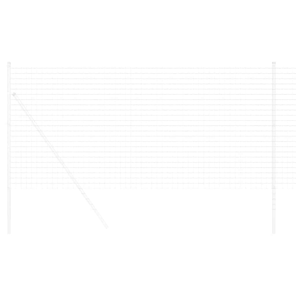Euro Fence 1.4 x 10 m PVC-coated iron