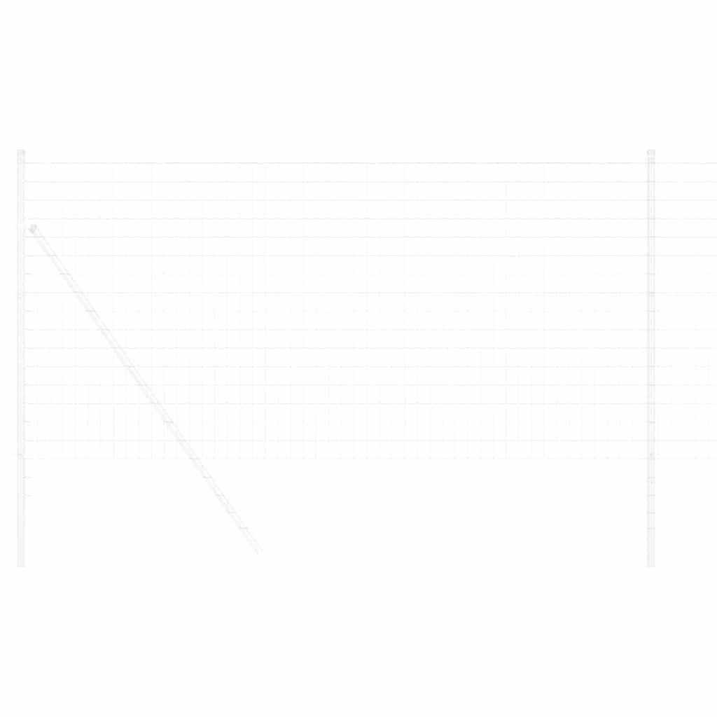 Euro Fence 1 x 10 m PVC-coated iron