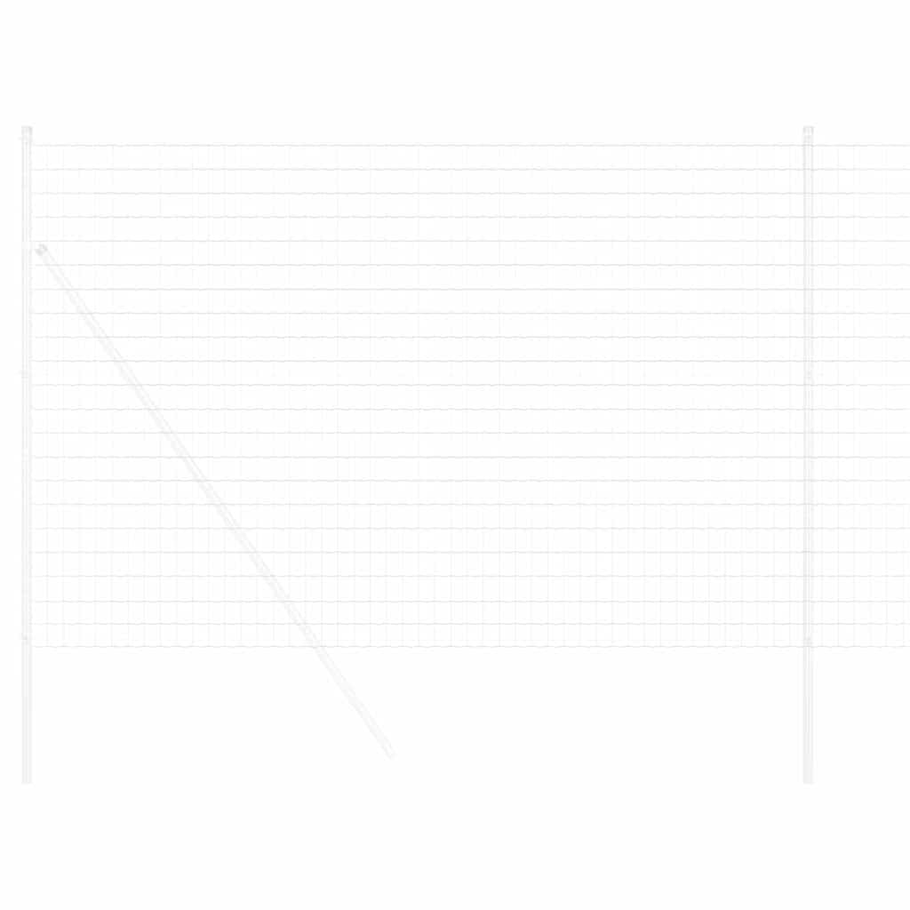 Euro Fence 1.6 x 10 m PVC-coated iron