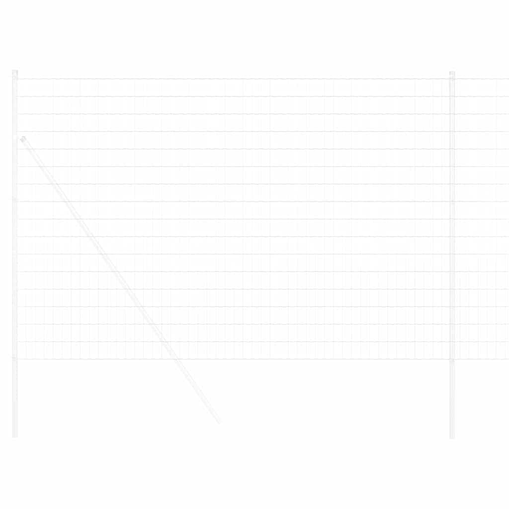 Euro Fence 1.6 x 10 m PVC-coated iron