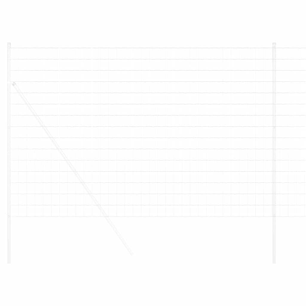 Euro Fence 1.5 x 10 m PVC-coated iron