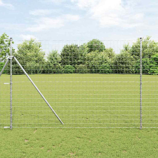 Euro Fence 1.6 x 10 m PVC-coated iron
