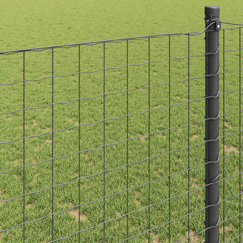 Euro Fence Grey 0.8 x 10 m PVC-coated iron
