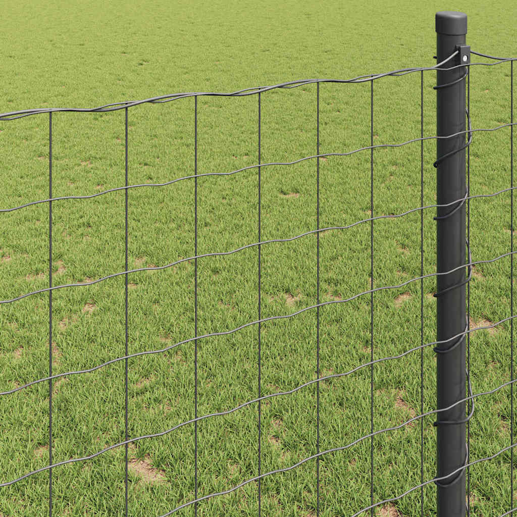 Euro Fence Black 1.6 x 10 m PVC-coated iron