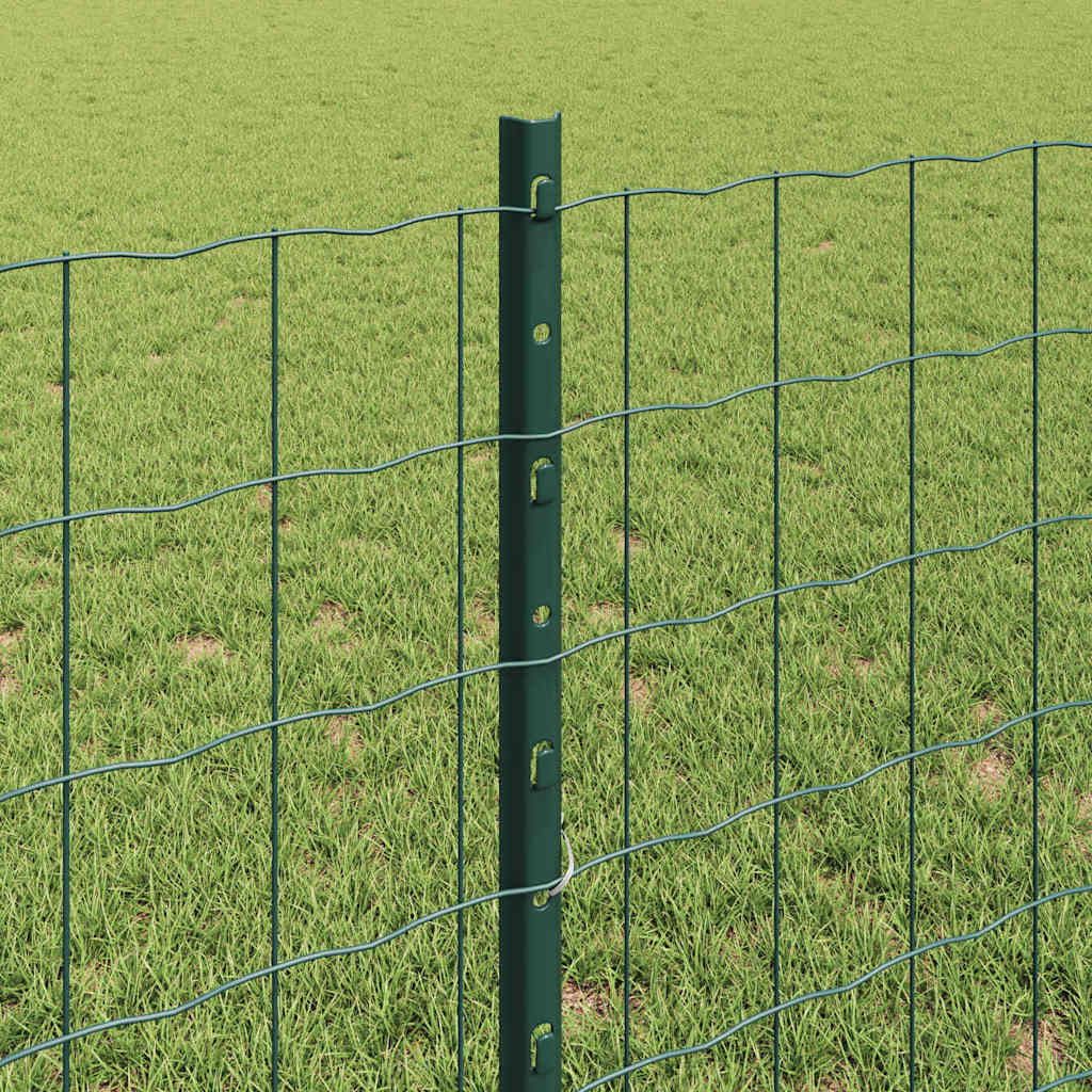 Welded Wire Fence 25 x 0.8 m (W x H) PVC-Coated Steel Green