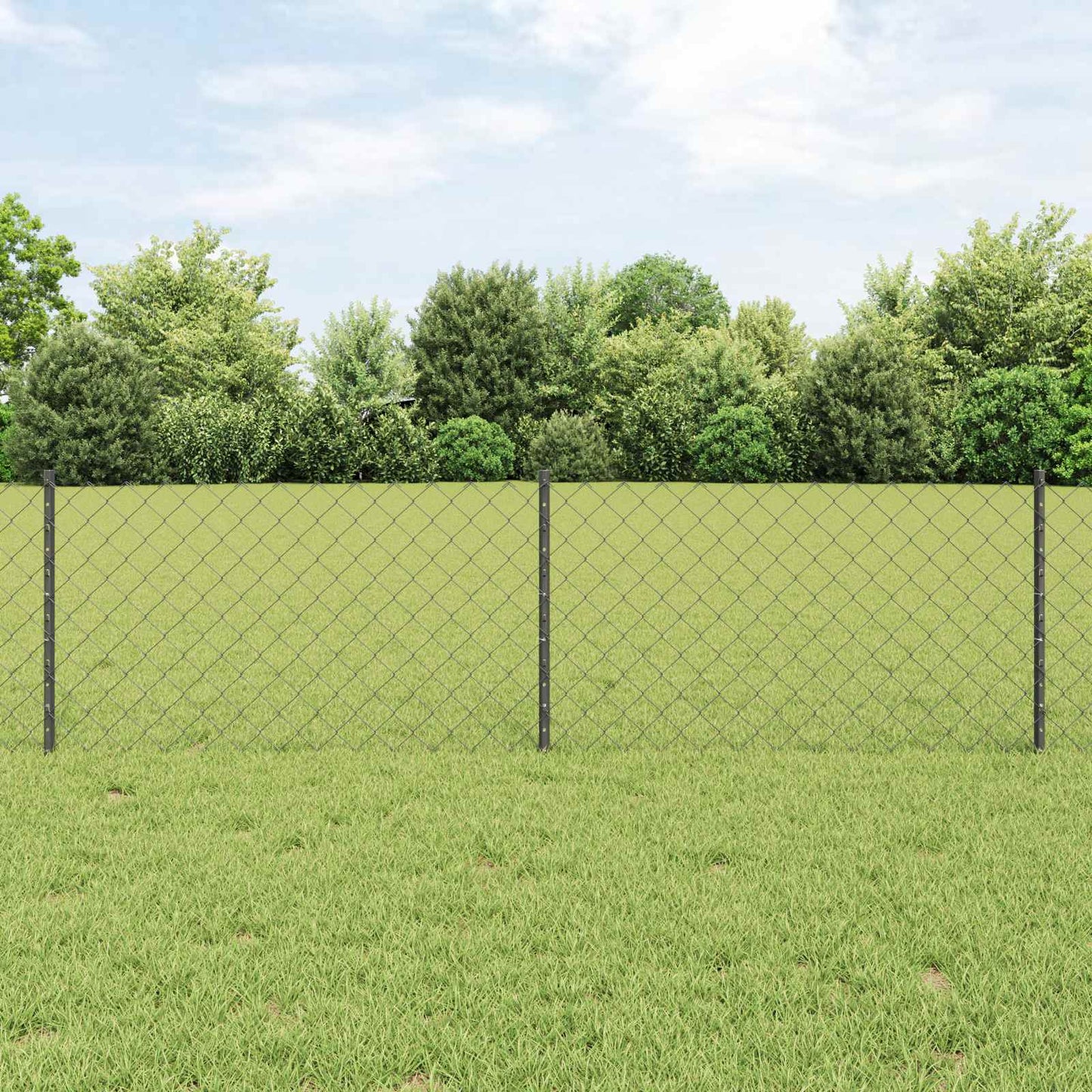 Chain Link Fence with Post 25 x 0.6 m (W x H) PVC-Coated Steel