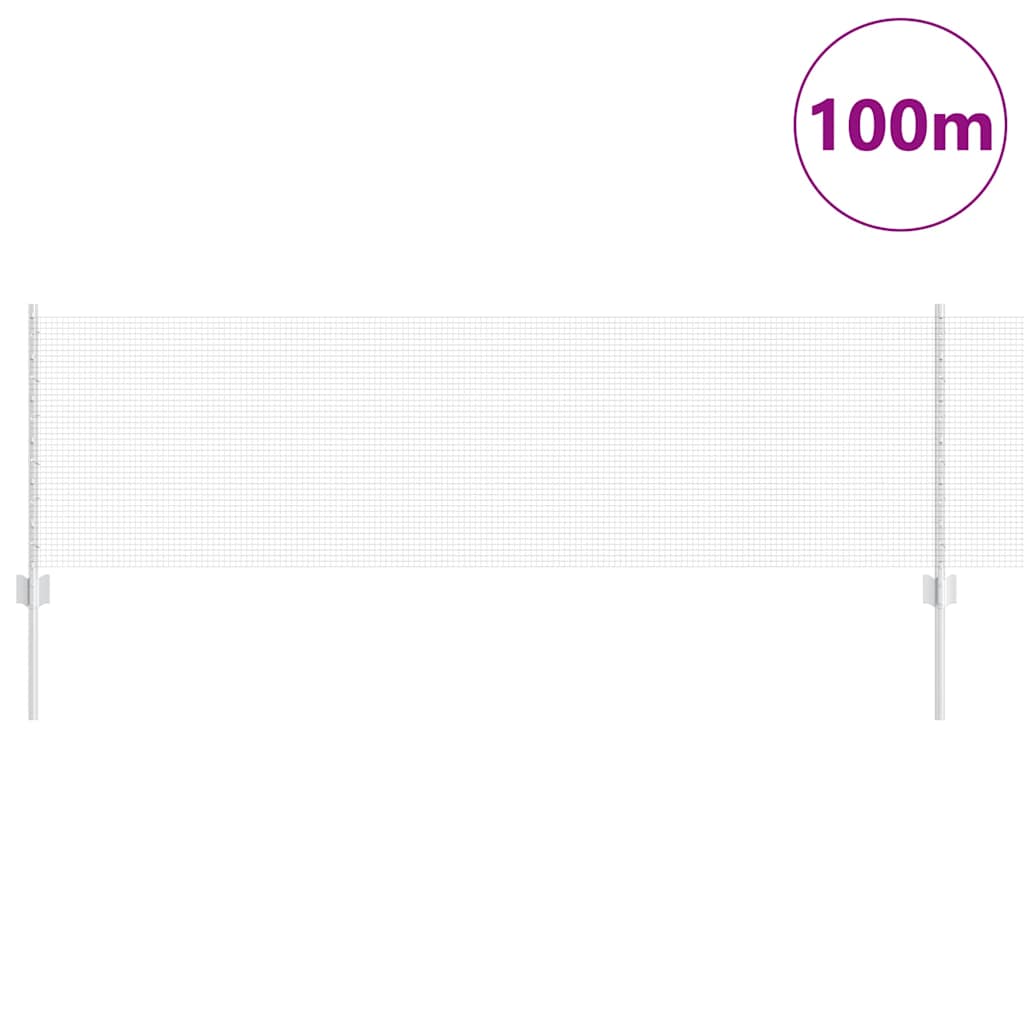 Welded Wire Fence with Post 100 x 0.6 m (W x H)