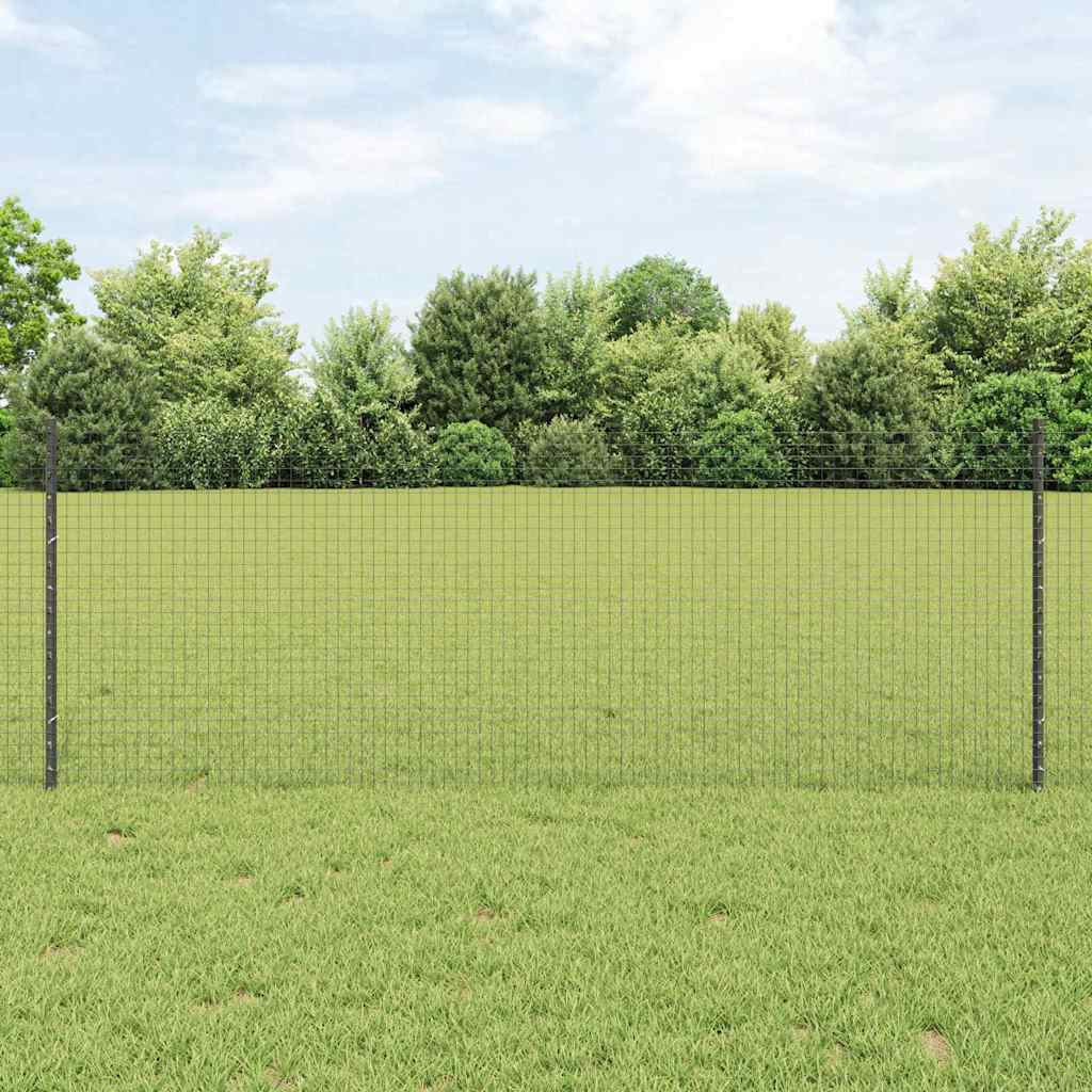 Welded Wire Fence with Post 10 x 0.8 m (W x H) PVC-Coated Steel