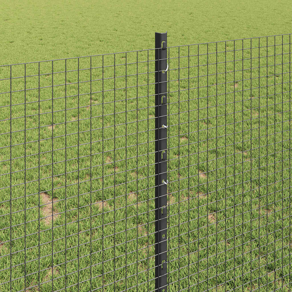 Welded Wire Fence with Post 50 x 1 m (W x H) PVC-Coated Steel