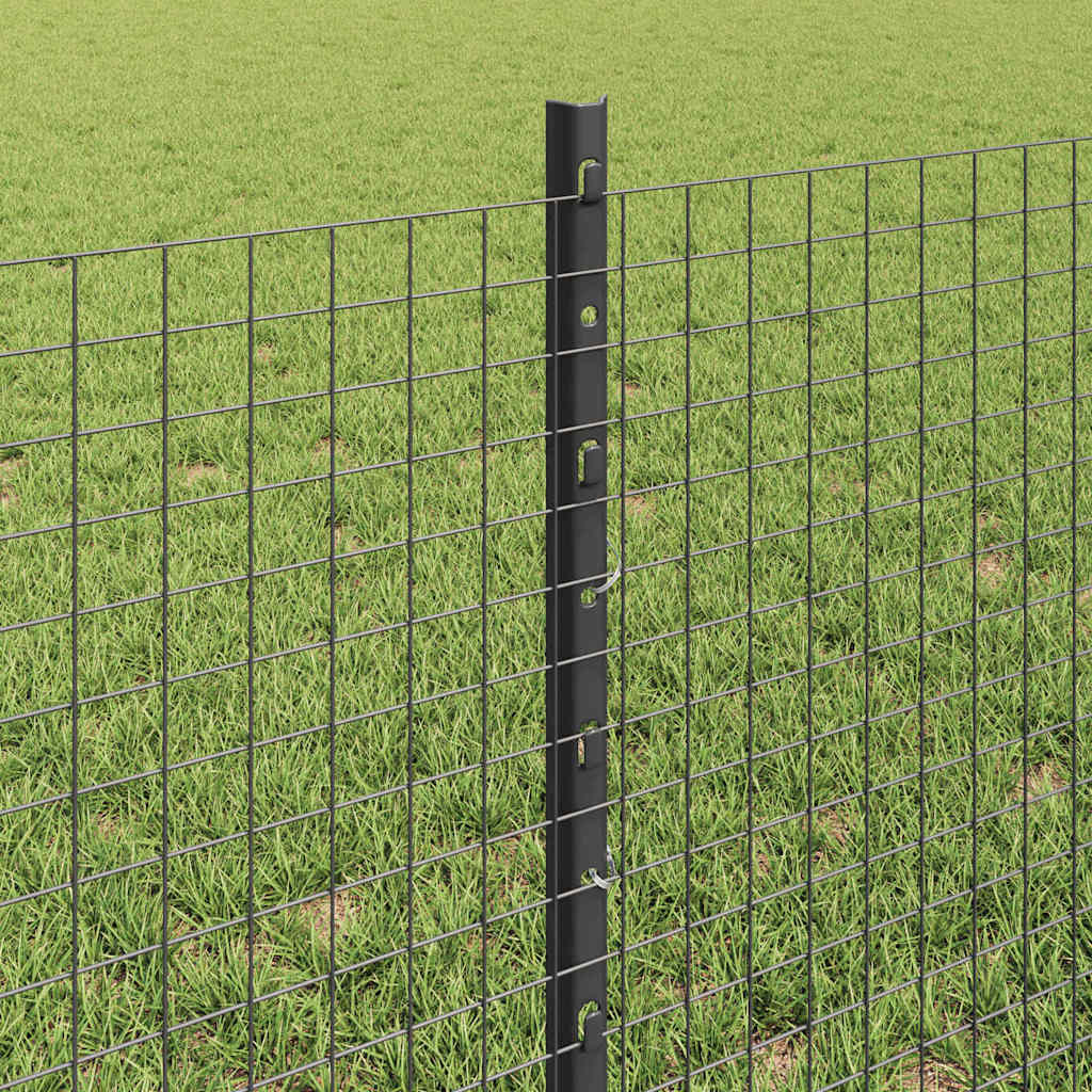 Welded Wire Fence with Post 100 x 0.6 m (W x H)